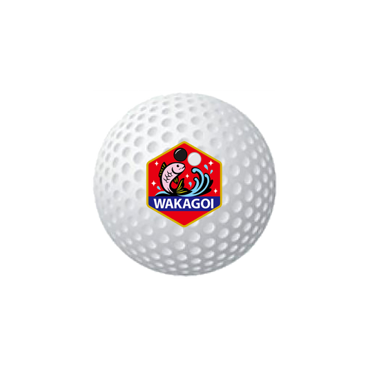 Li League チーム 若鯉 エンブレム ゴルフボール（TOURSTAGE EXTRA DISTANCE）